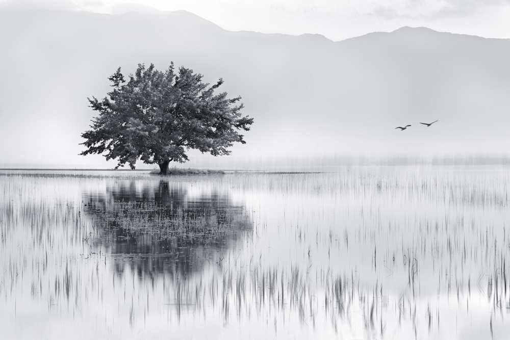 Spring Mirror von Maria Kaimaki