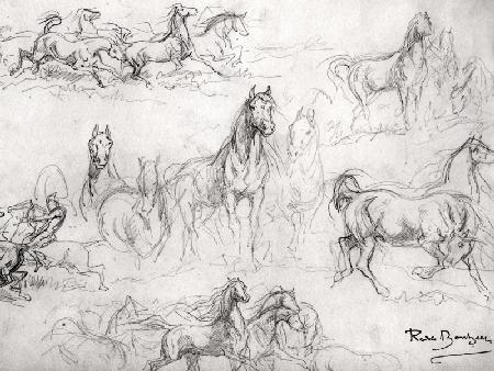 Study of Horses