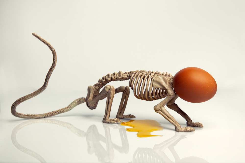 Easter is coming von Marian Korte