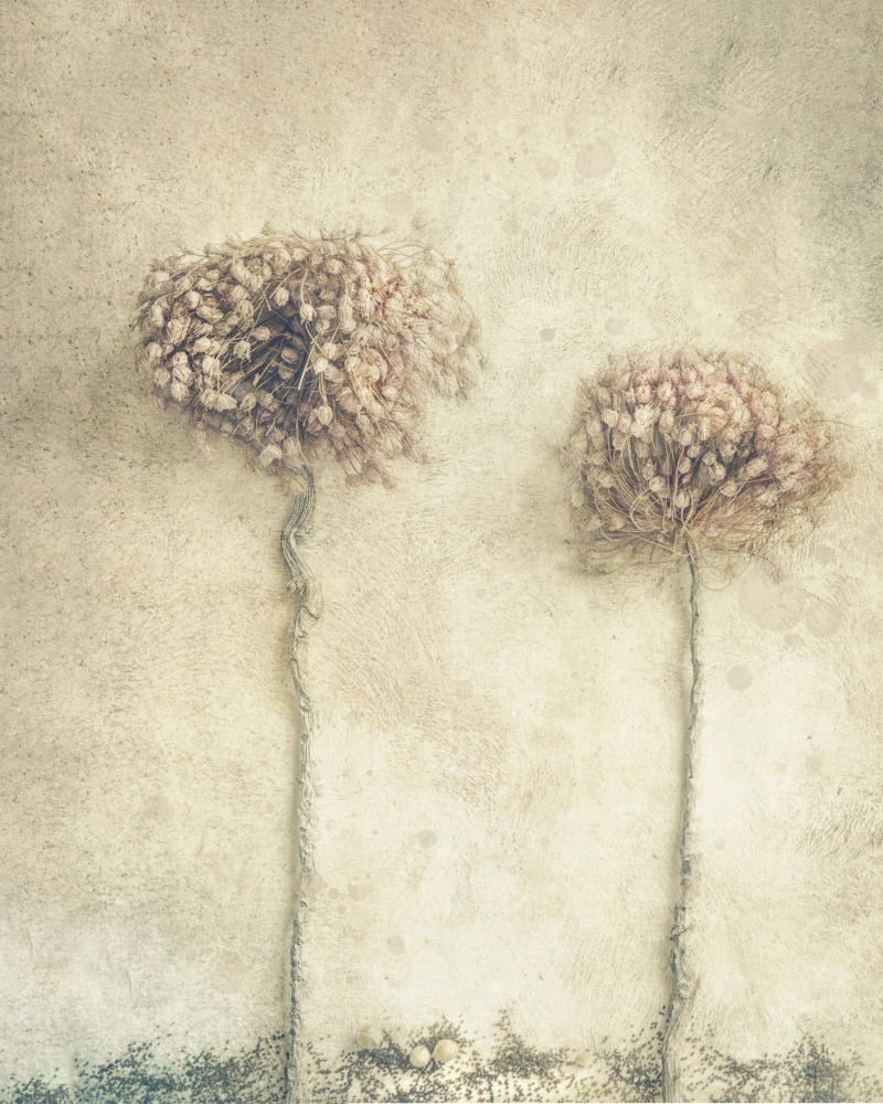 2... von marie-anne stas