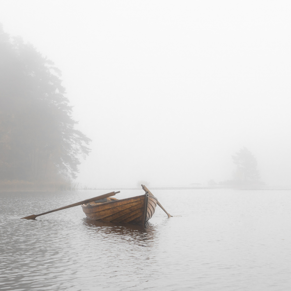 Den gamla ekan von Marie Berglund