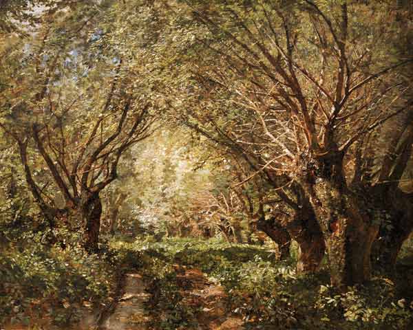 Weidenallee in Stillfried an der von  Marie Egner