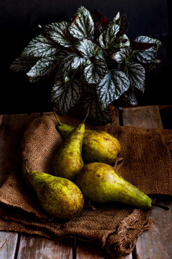 pears von Marija Kordić