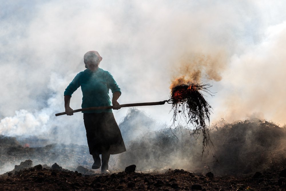 untitledl von Marina Sveduneac