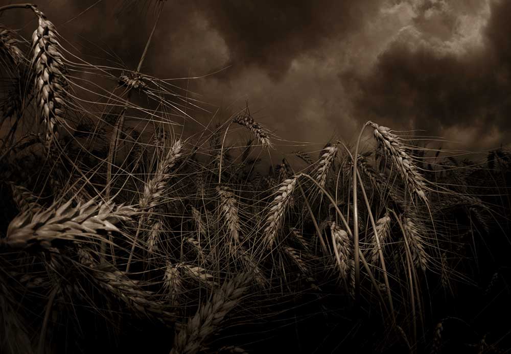 harter Regen wird fallen von Mario Grobenski