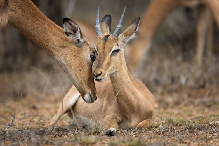 A Moment of Love von Mario Moreno