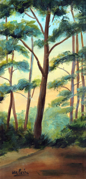 The Light in the Woods von Marisa  Leon