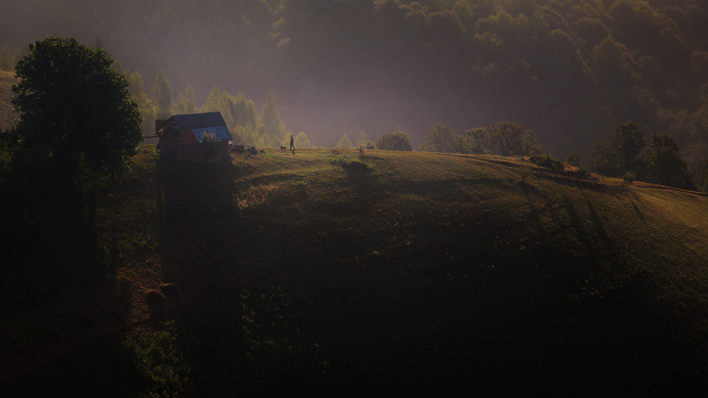 Best friends von Marius Cinteza