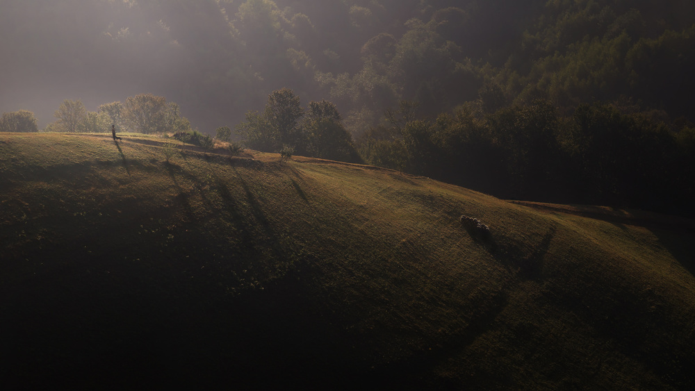 One morning von Marius Cinteza