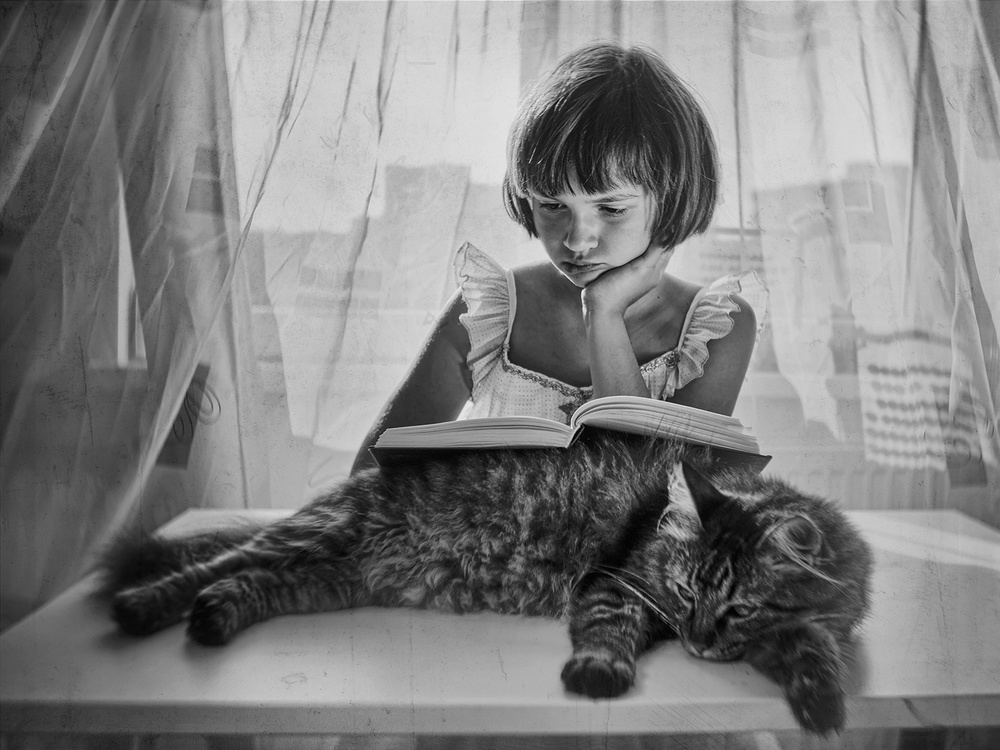 Reader von Marius Cinteza