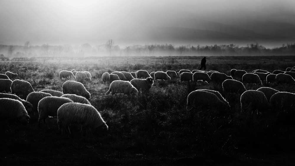 Let it be light! von Marius Cinteza