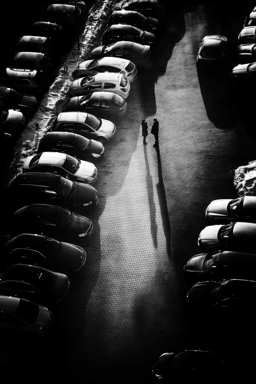 Twilight encounter von Marius Cinteza