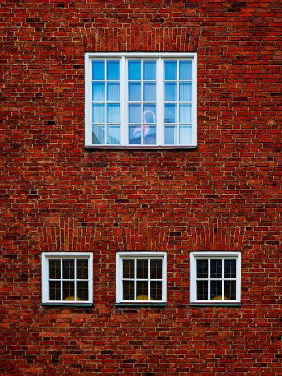 the room of a flamingo