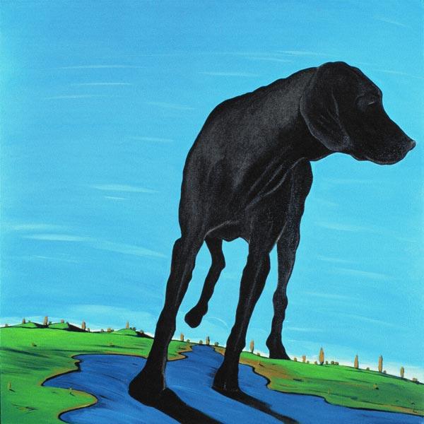 Joe''s Black Dog (new view)