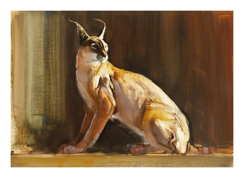 Arabian Caracal von Mark  Adlington