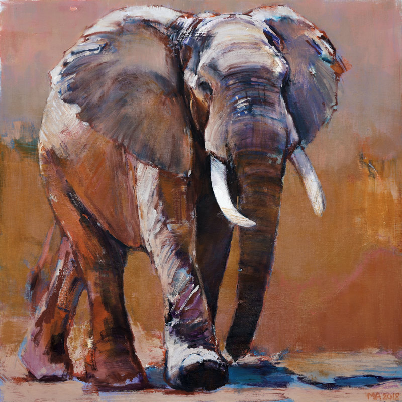 Dry Season, Loisaba von Mark  Adlington