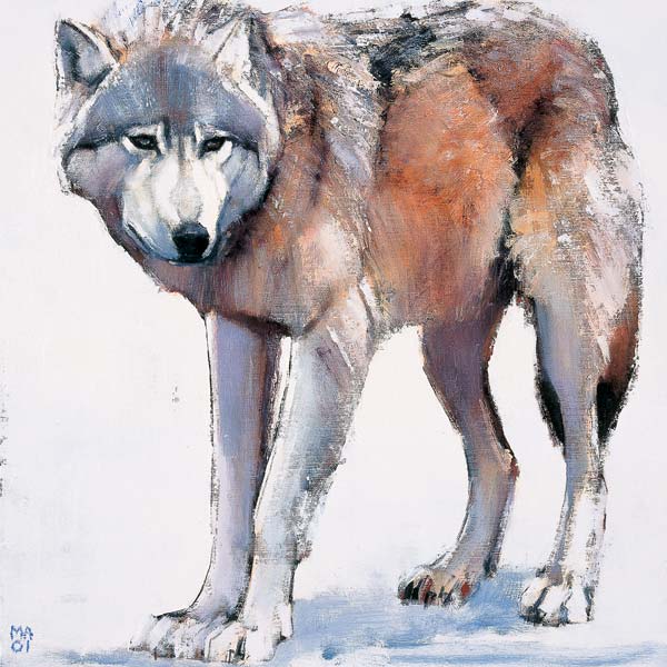 Edge von Mark  Adlington