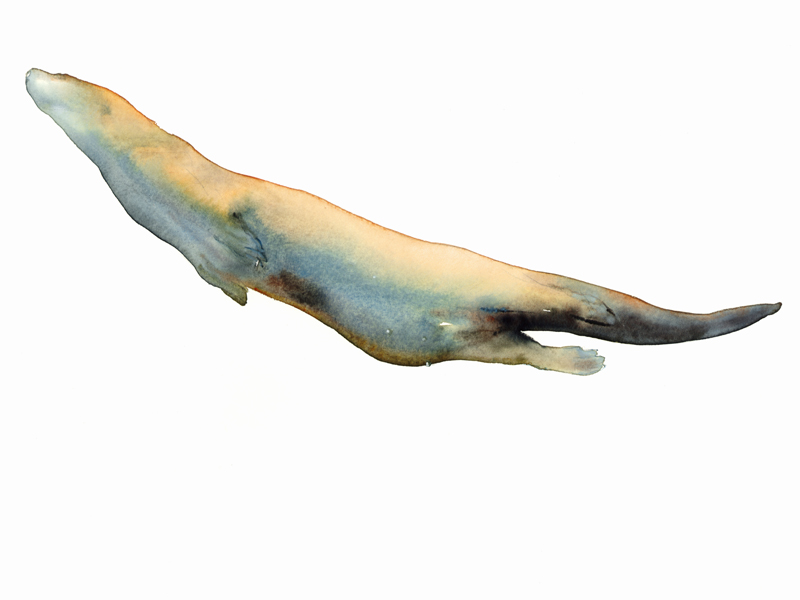 Floating to the Surface von Mark  Adlington