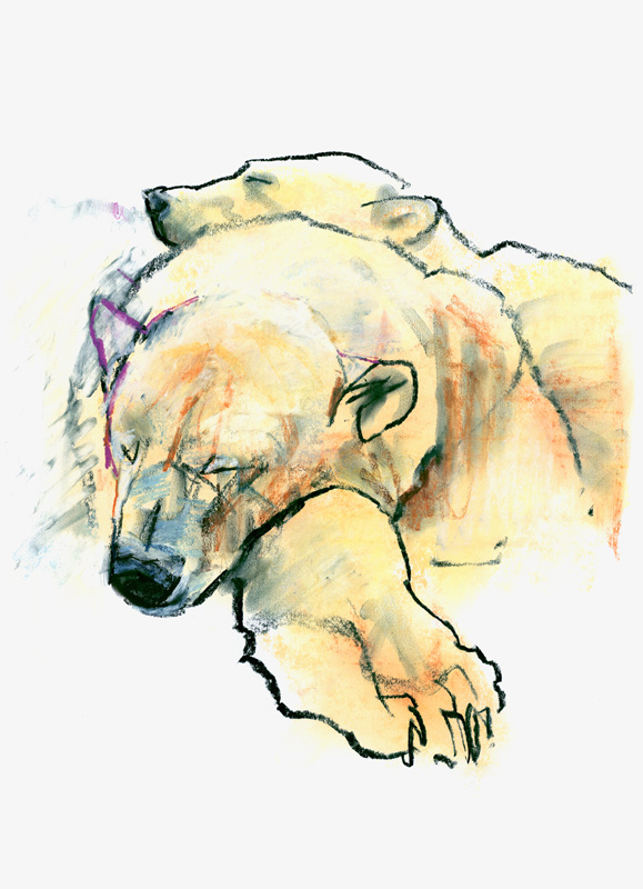 Pillow von Mark  Adlington