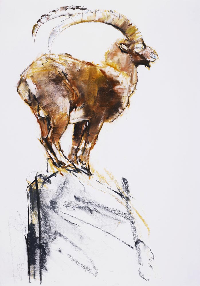 Stambecco dOro von Mark  Adlington