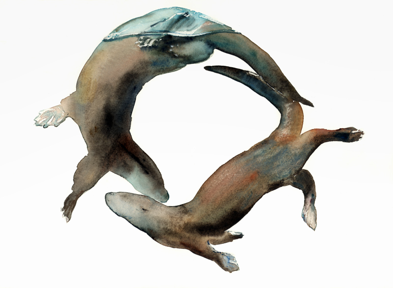 Underwater Ballet von Mark  Adlington