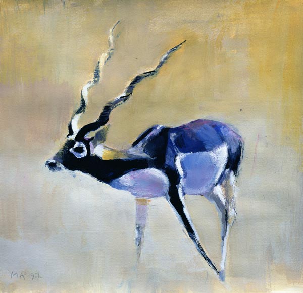 Black Buck, Velavadar von Mark  Adlington