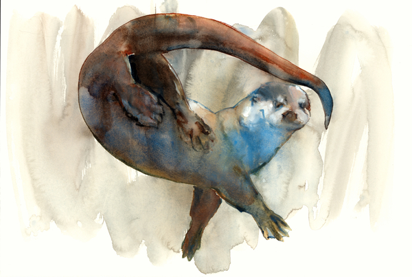 A Change of Direction von Mark  Adlington