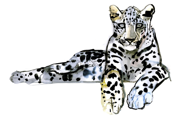 Arabian Leopard von Mark  Adlington