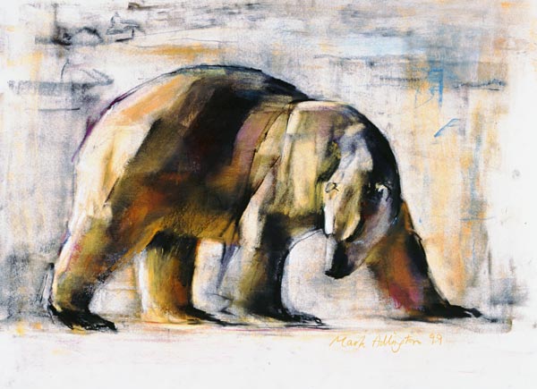 Arctic von Mark  Adlington