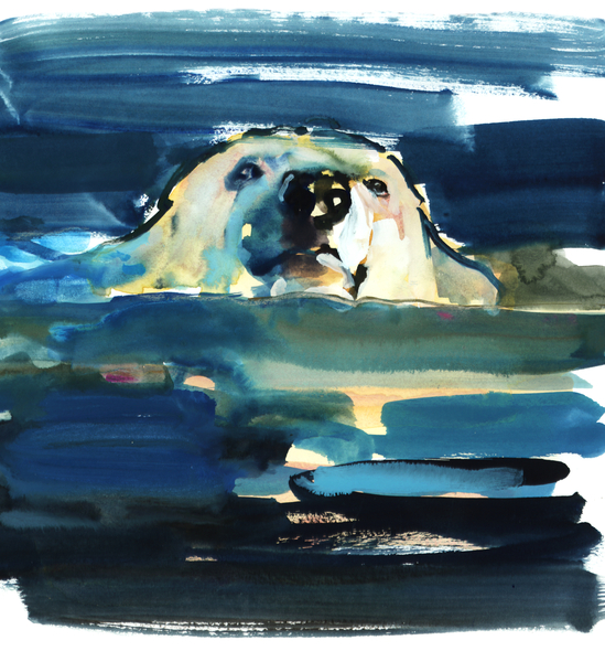 Arctic Swim von Mark  Adlington