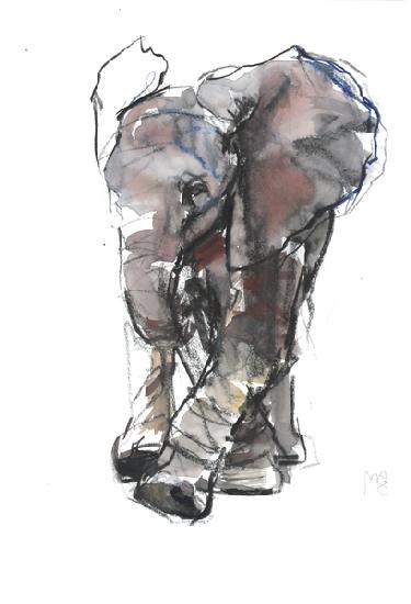 Baby Elephant Study