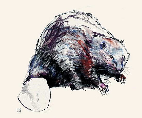 Castor Fiber von Mark  Adlington