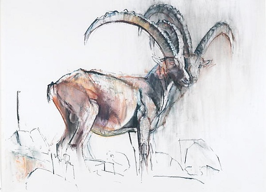 Col di Vermianaz von Mark  Adlington