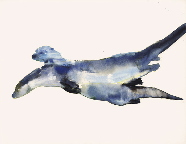 Courting Otters von Mark  Adlington