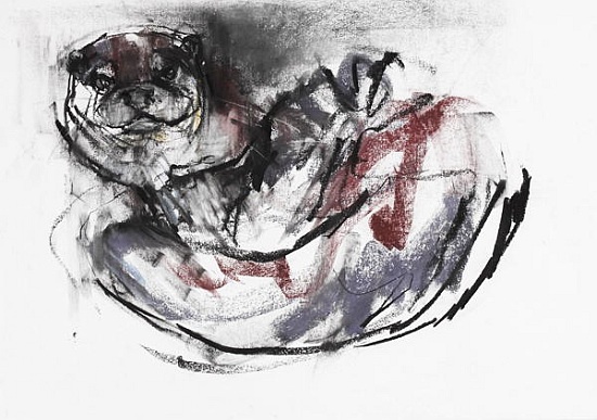 Dog Otter von Mark  Adlington