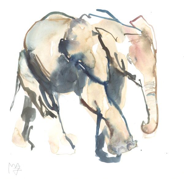 Elephant calf, Loisaba von Mark  Adlington
