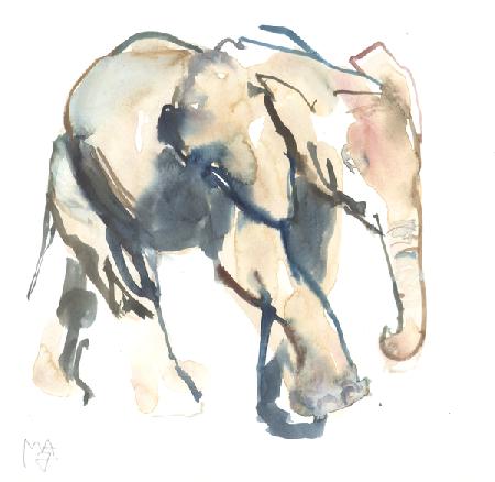 Elephant calf, Loisaba