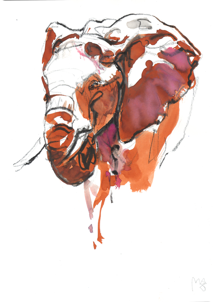 Elephant Head study II von Mark  Adlington