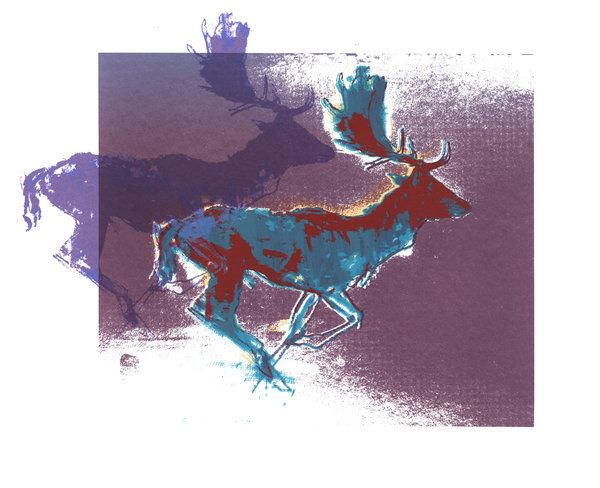 Fallow Bucks (blue/red, purple) von Mark  Adlington