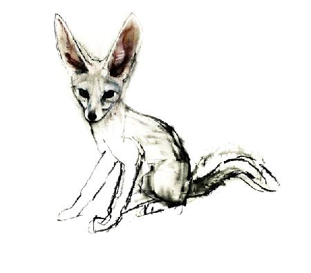 Foxy (Sand Fox)