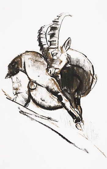 Grattarsi von Mark  Adlington