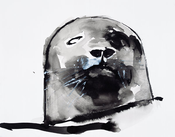 Harbour seal, West Cove von Mark  Adlington