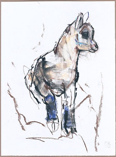 Ibex Kid von Mark  Adlington