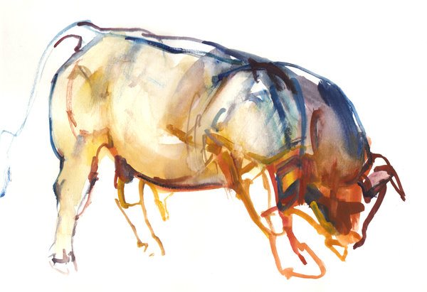 Little Bull von Mark  Adlington