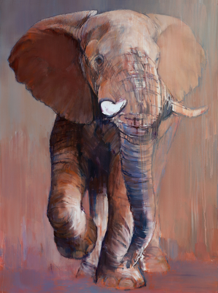 Loisaba Bull von Mark  Adlington