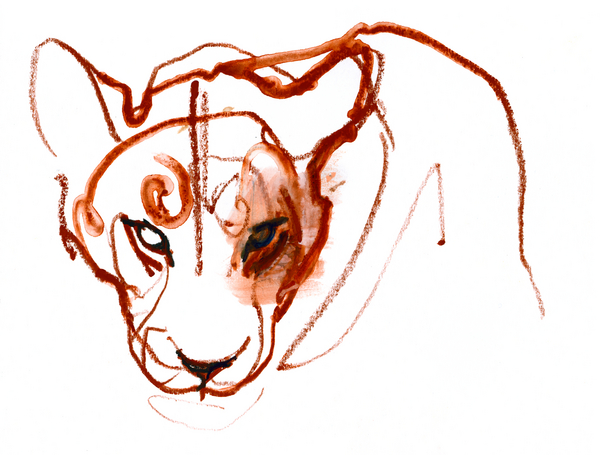 Looking at you looking at me von Mark  Adlington