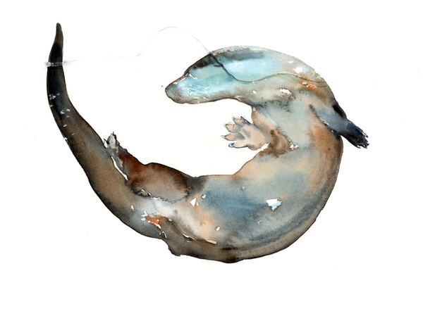 Making Shapes (otter) von Mark  Adlington