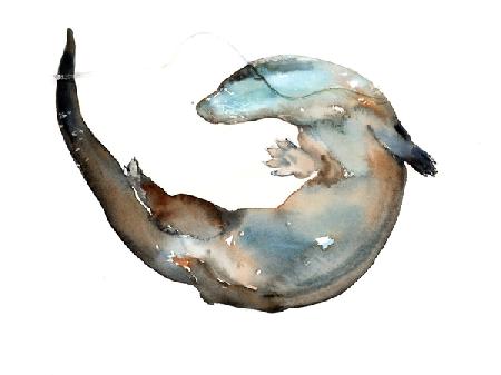 Making Shapes (otter)