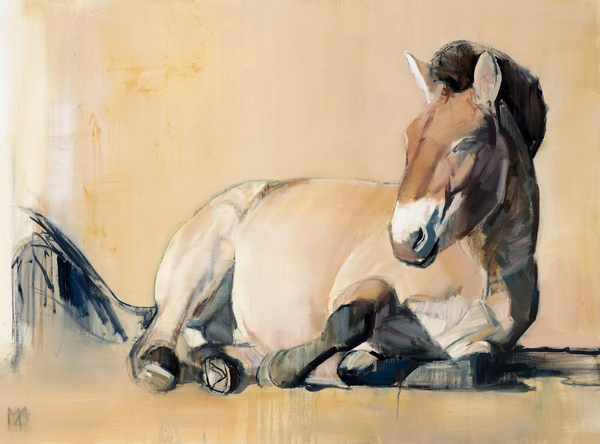 Plateau Sun (Przewalski) von Mark  Adlington