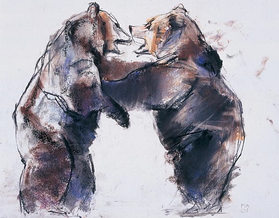 Playfight von Mark  Adlington